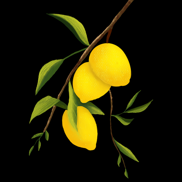 onlyfnas官网专属订阅功能上线|内容定价策略变化聚焦粉丝深运营